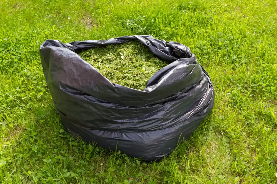 Common Mistakes To Avoid During Waste Disposal Processes in Lancaster, CA Common Mistakes To Avoid During Waste Disposal Processes in Lancaster, CA