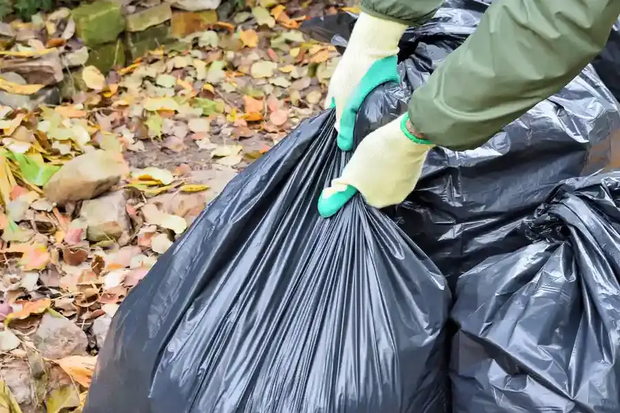 Reputable Garbage Removal Service Lancaster, CA Reputable Garbage Removal Service Lancaster, CA