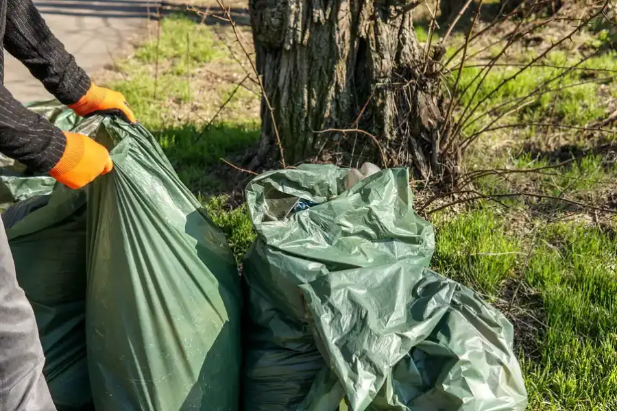 The Role Of Garbage Removal Service In Commercial Buildings Lancaster, CA The Role Of Garbage Removal Service In Commercial Buildings Lancaster, CA
